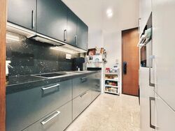 Draycott Park (D10), Condominium #576823811